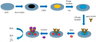 Carbon Material Based Electrochemical Immunosensor for Gastric Cancer Markers Detection